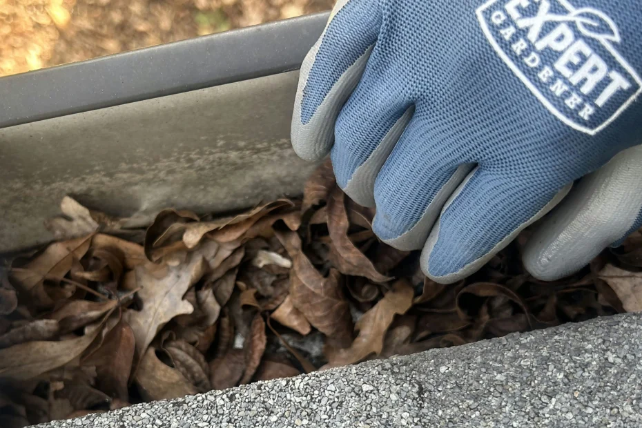 Gutter Cleaning Wentzville