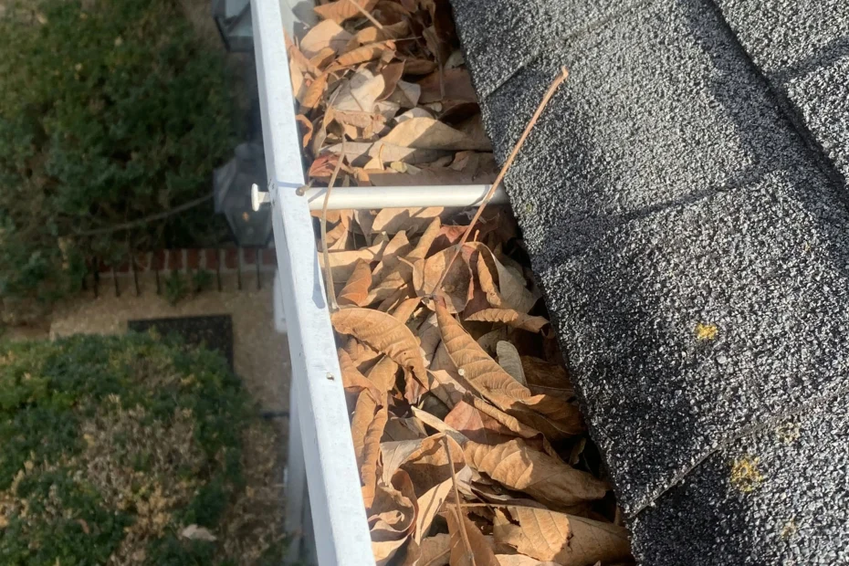 Gutter Cleaning Wentzville