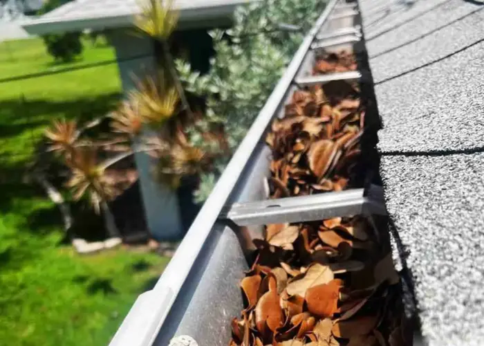 Gutter Cleaning Wentzville home page